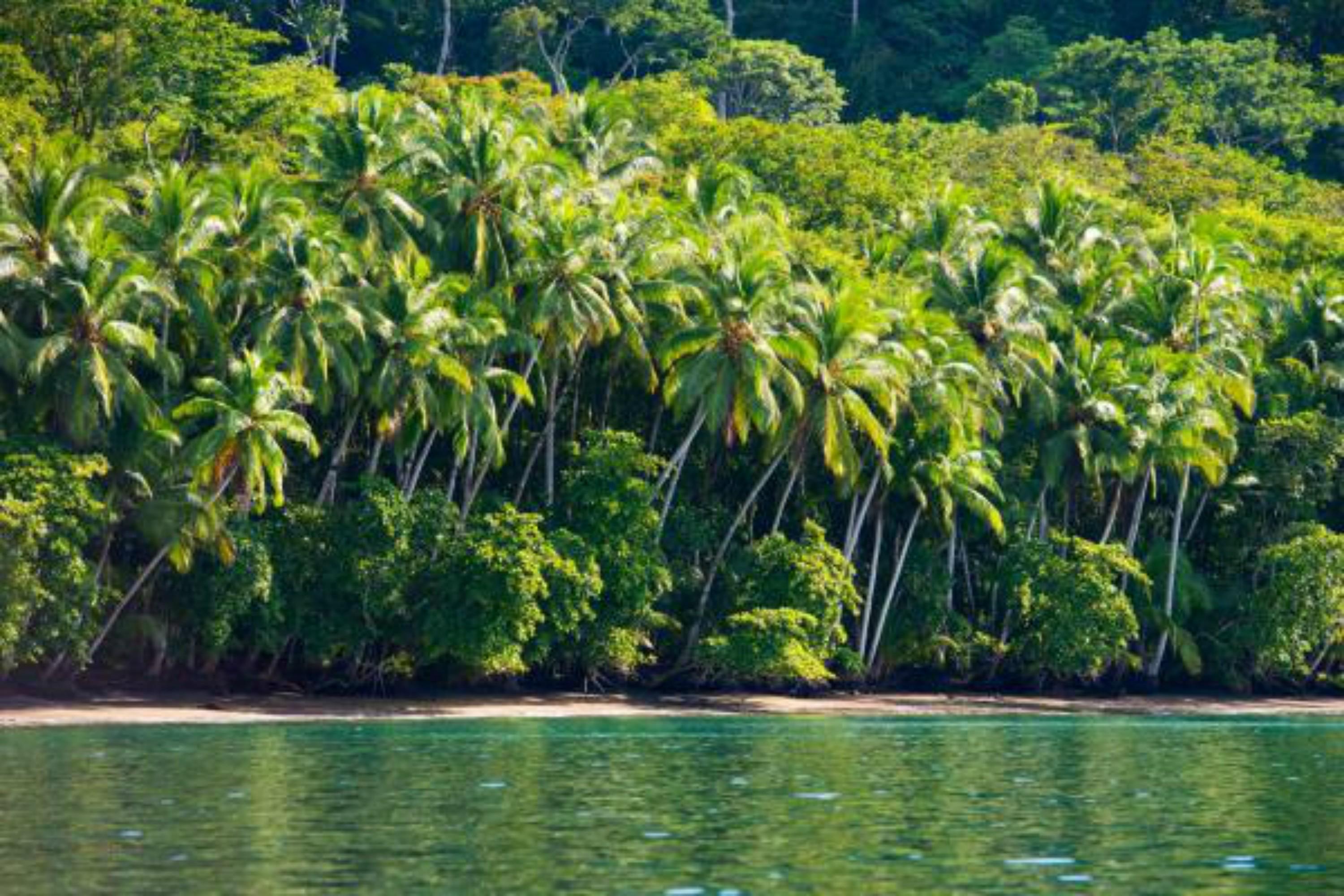 Playa Nicuesa Rainforest Eco Sanctuary Golfito Exterior foto